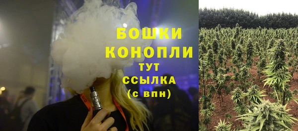 амф Александровское