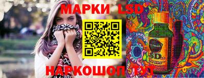 индика Беслан