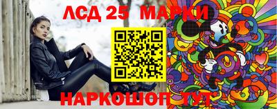 индика Беслан