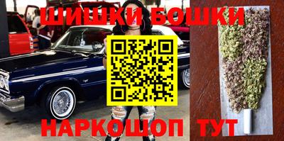 индика Беслан