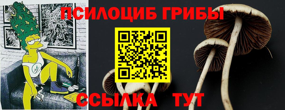 Галлюциногенные грибы Psilocybine cubensis  Вход с VPN  Галлюциногенные грибы MAGIC MUSHROOMS  Гусь-Хрустальный 