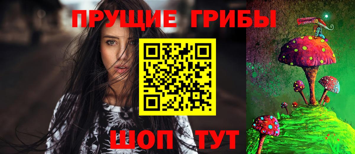 Галлюциногенные грибы Psilocybe  Гусь-Хрустальный 